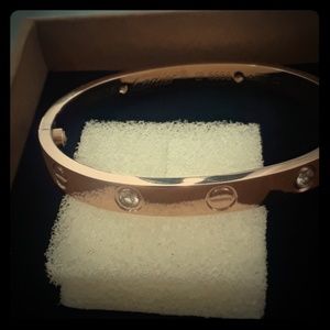 ip 6688 cartier